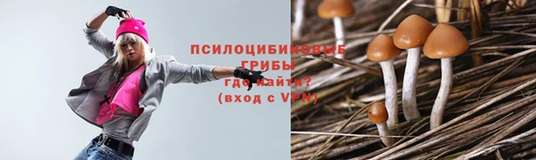 молекула духа Надым