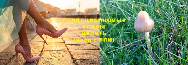 молекула духа Надым