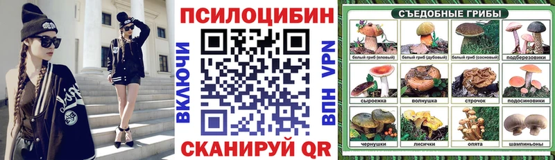 Галлюциногенные грибы Psilocybe  Шали 