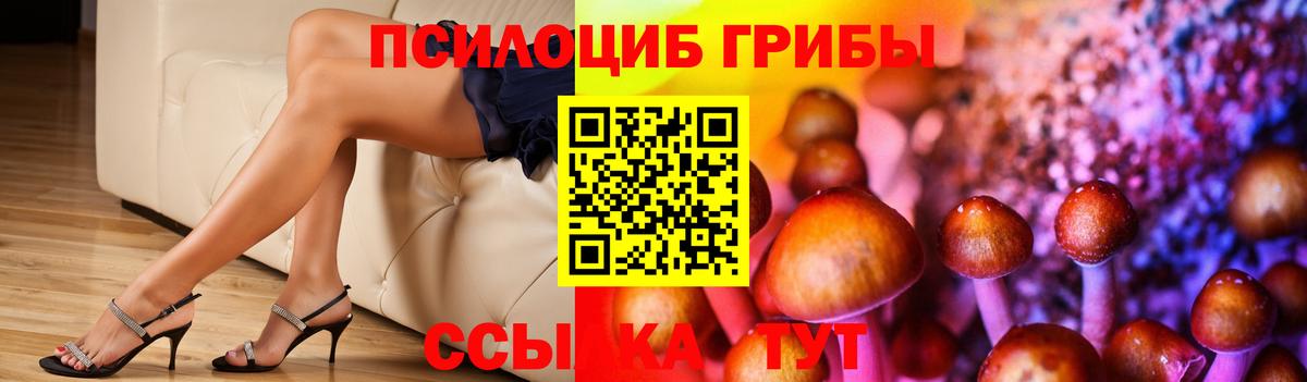 Галлюциногенные грибы Psilocybe  Вход с VPN  Шали  Псилоцибиновые грибы Psilocybe 